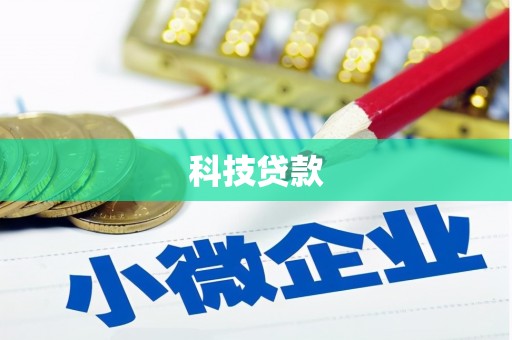 黄圃科技贷款