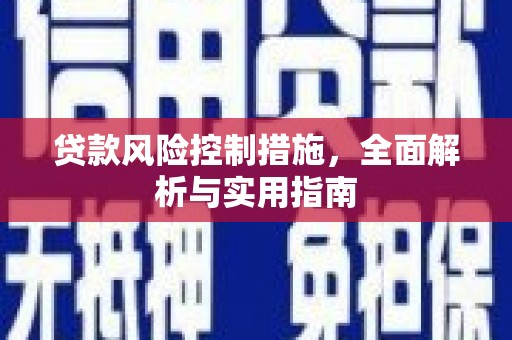 黄圃贷款风险控制措施，全面解析与实用指南