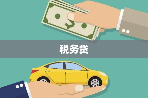 黄圃税务贷
