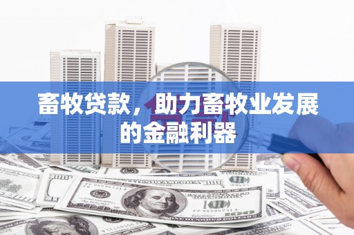 黄圃畜牧贷款，助力畜牧业发展的金融利器