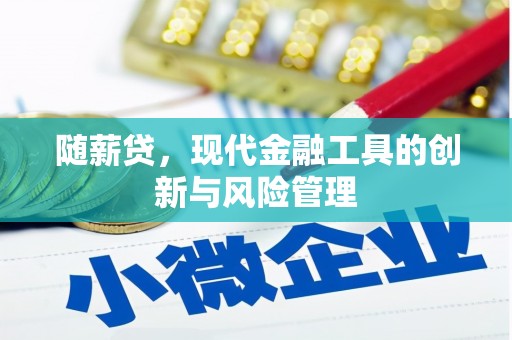 黄圃随薪贷，现代金融工具的创新与风险管理