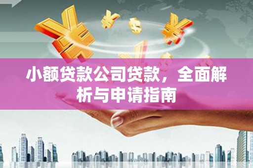 黄圃小额贷款公司贷款，全面解析与申请指南