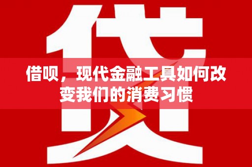 黄圃借呗，现代金融工具如何改变我们的消费习惯