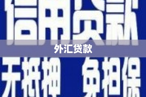 黄圃外汇贷款