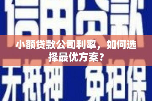 黄圃小额贷款公司利率，如何选择最优方案？