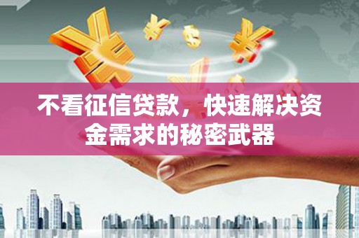 黄圃不看征信贷款，快速解决资金需求的秘密武器