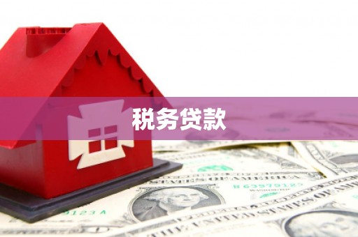 黄圃税务贷款