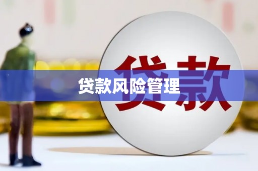 黄圃贷款风险管理