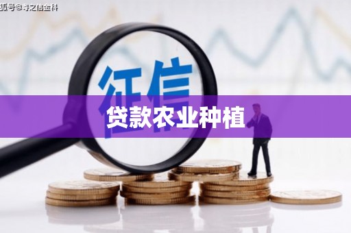 黄圃贷款农业种植