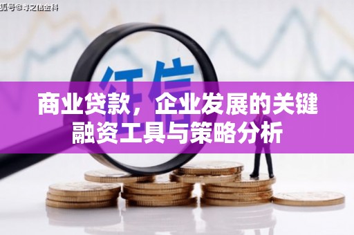 黄圃商业贷款，企业发展的关键融资工具与策略分析