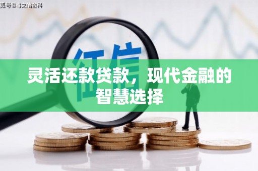 黄圃灵活还款贷款，现代金融的智慧选择