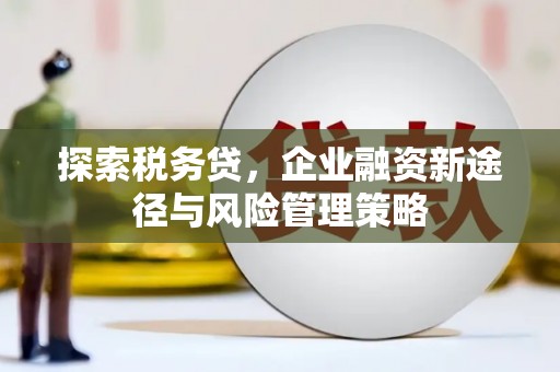 黄圃探索税务贷，企业融资新途径与风险管理策略