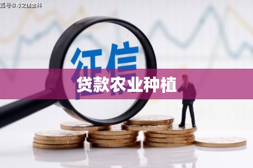 黄圃贷款农业种植