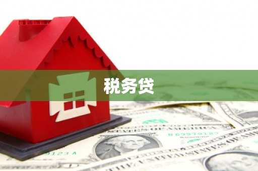 黄圃税务贷