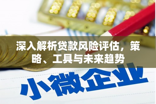 黄圃深入解析贷款风险评估，策略、工具与未来趋势