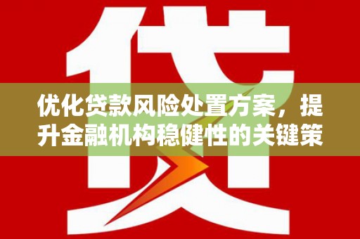 黄圃优化贷款风险处置方案，提升金融机构稳健性的关键策略