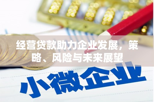 黄圃经营贷款助力企业发展，策略、风险与未来展望