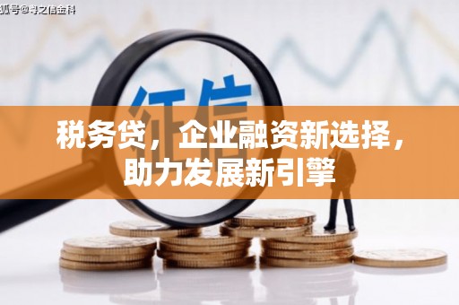 黄圃税务贷，企业融资新选择，助力发展新引擎