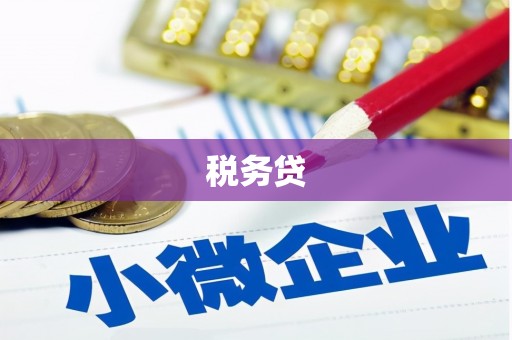 黄圃税务贷