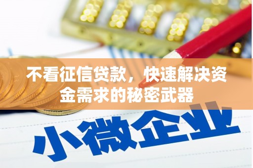 黄圃不看征信贷款，快速解决资金需求的秘密武器