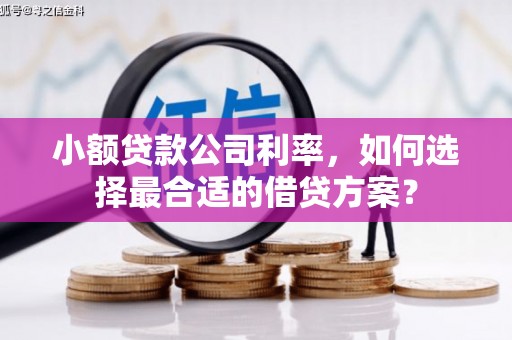 黄圃小额贷款公司利率，如何选择最合适的借贷方案？