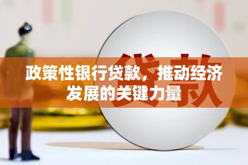 黄圃政策性银行贷款，推动经济发展的关键力量