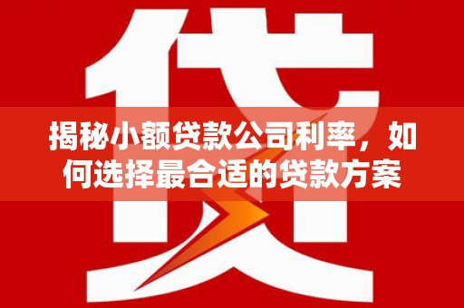 黄圃揭秘小额贷款公司利率，如何选择最合适的贷款方案