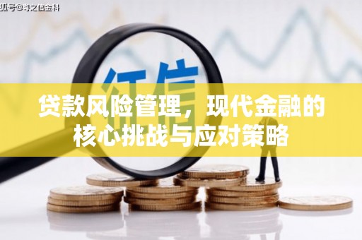 黄圃贷款风险管理，现代金融的核心挑战与应对策略