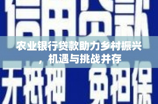 黄圃农业银行贷款助力乡村振兴，机遇与挑战并存
