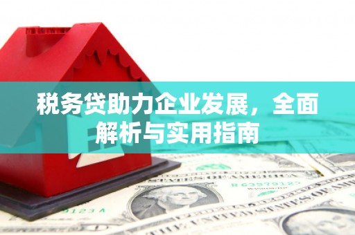 黄圃税务贷助力企业发展，全面解析与实用指南