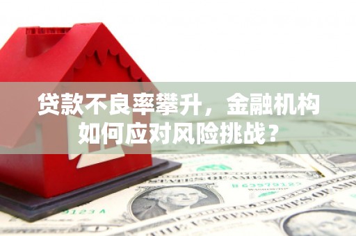 黄圃贷款不良率攀升，金融机构如何应对风险挑战？
