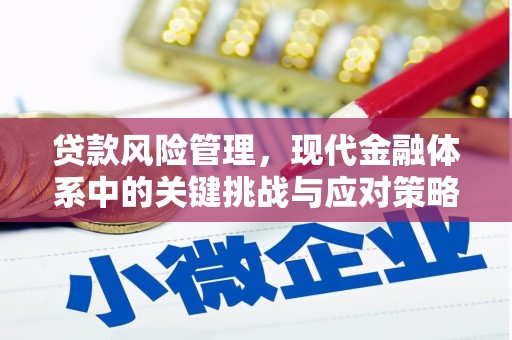 黄圃贷款风险管理，现代金融体系中的关键挑战与应对策略