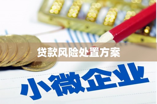 黄圃贷款风险处置方案